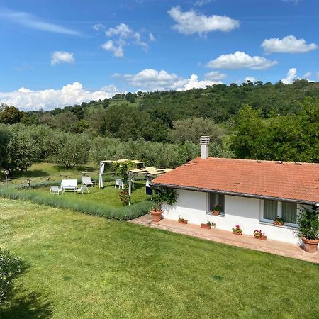 Tenuta Le Mandorlaie, Agriturismo In Scansano Exteriér fotografie