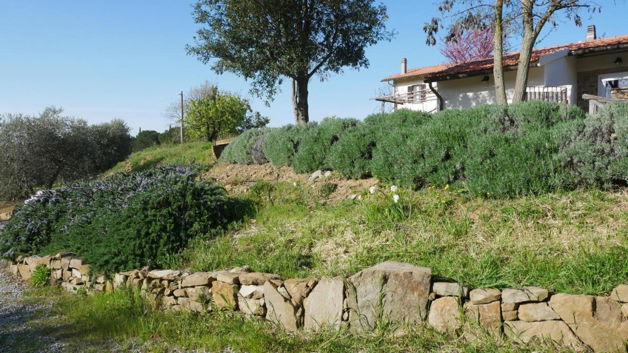 Tenuta Le Mandorlaie, Agriturismo In Scansano Exteriér fotografie