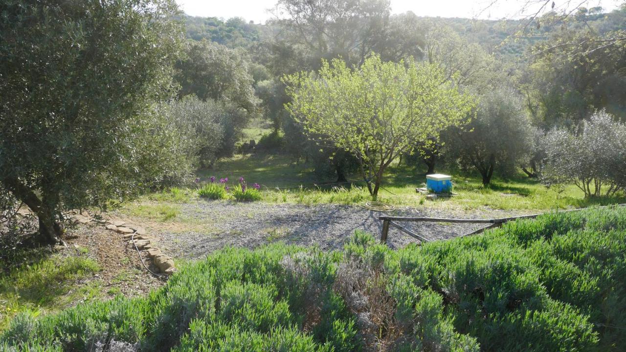 Tenuta Le Mandorlaie, Agriturismo In Scansano Exteriér fotografie