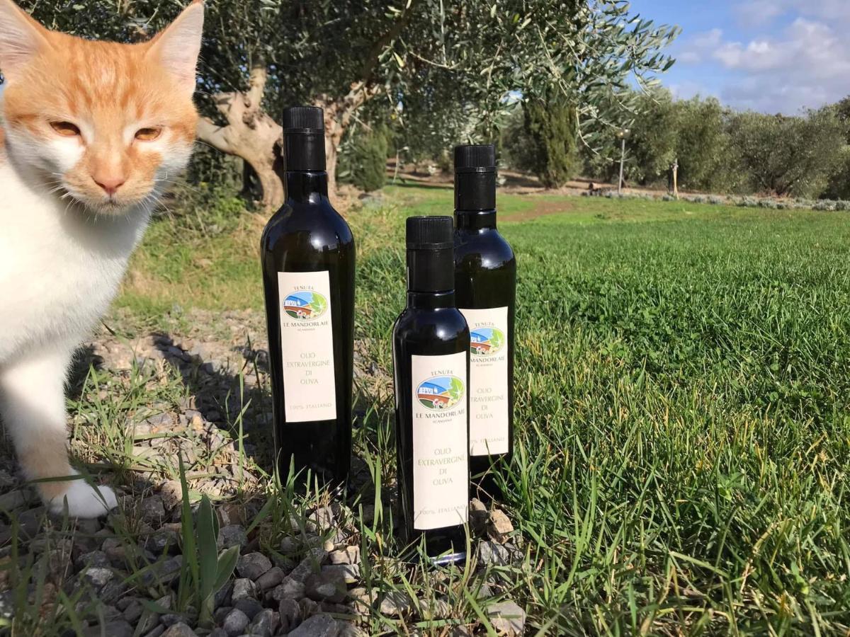 Tenuta Le Mandorlaie, Agriturismo In Scansano Exteriér fotografie