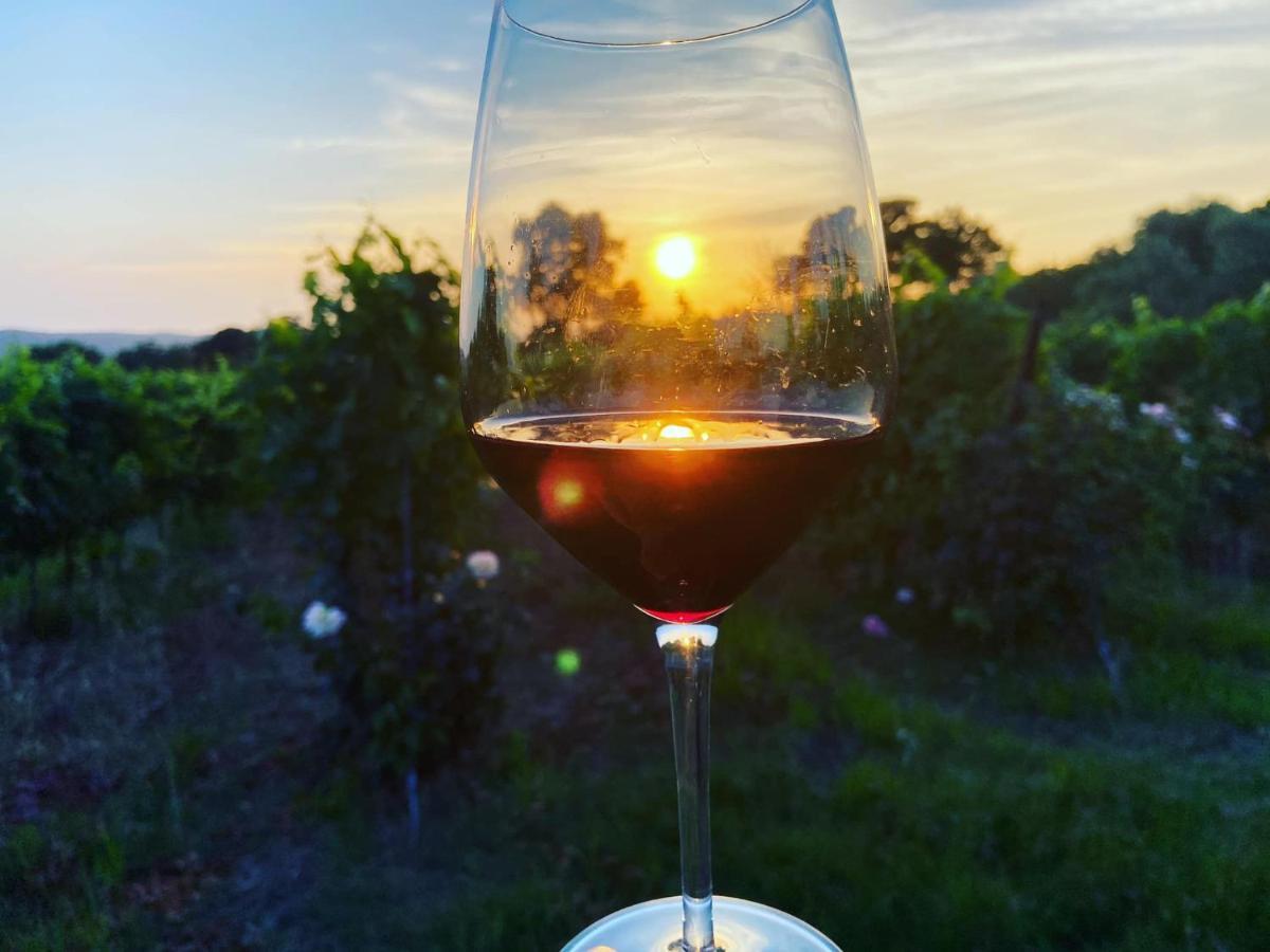 Tenuta Le Mandorlaie, Agriturismo In Scansano Exteriér fotografie