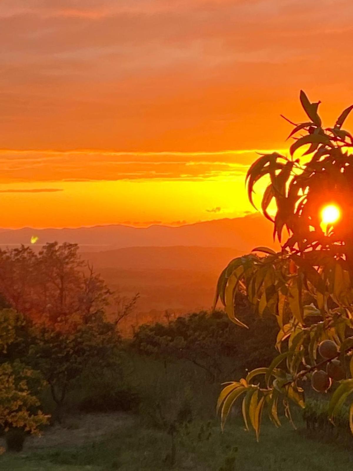 Tenuta Le Mandorlaie, Agriturismo In Scansano Exteriér fotografie