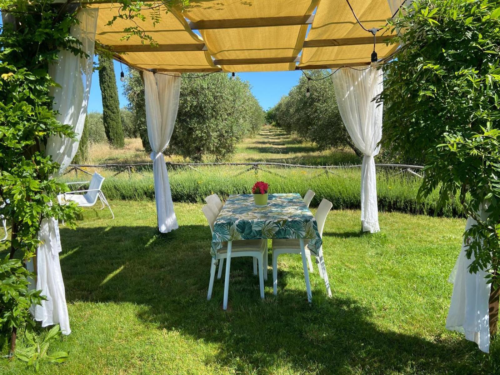 Tenuta Le Mandorlaie, Agriturismo In Scansano Exteriér fotografie