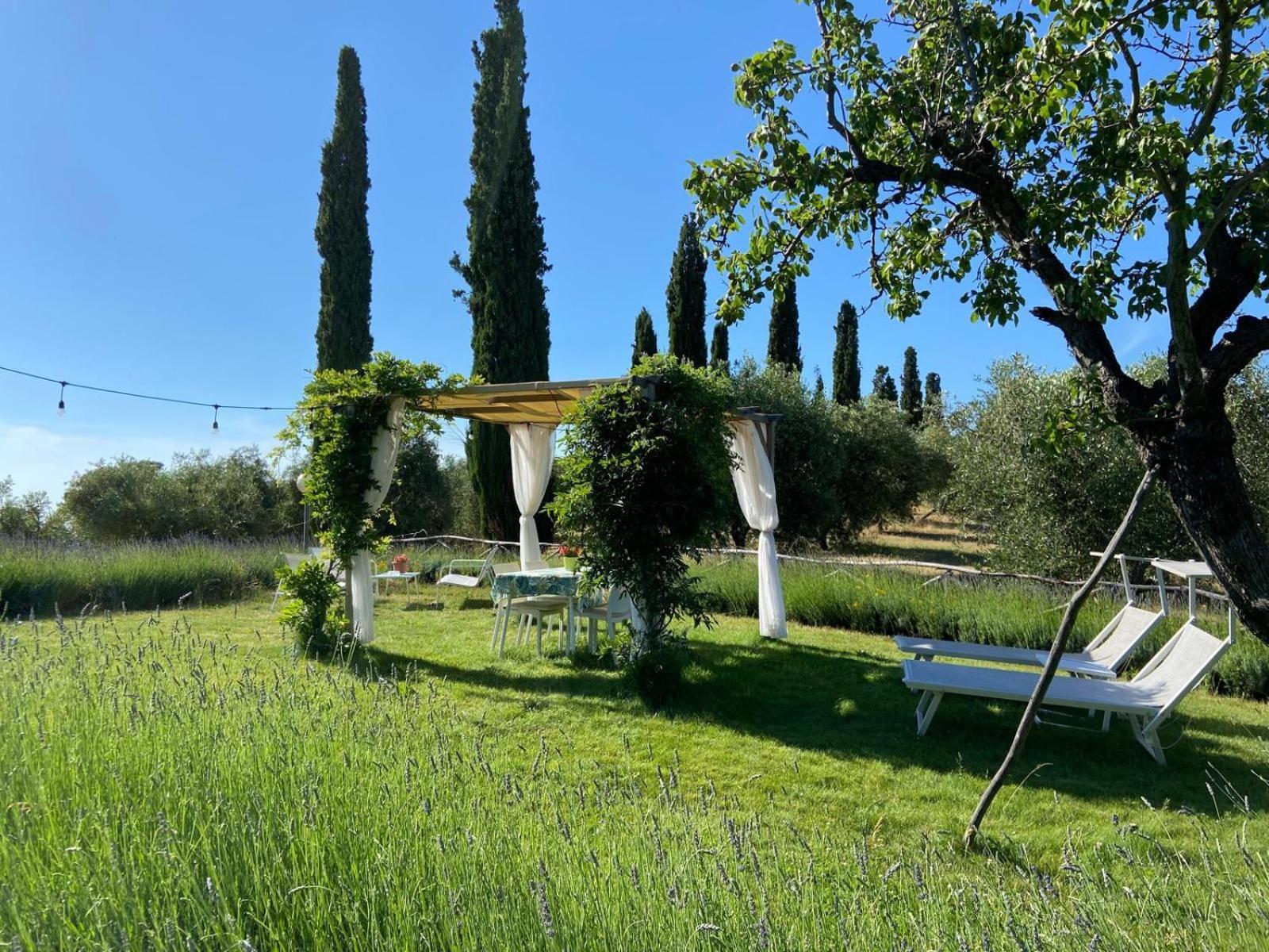 Tenuta Le Mandorlaie, Agriturismo In Scansano Exteriér fotografie