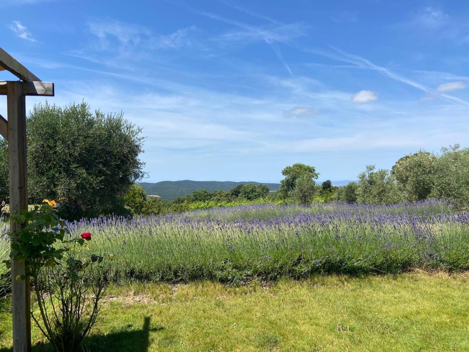 Tenuta Le Mandorlaie, Agriturismo In Scansano Exteriér fotografie