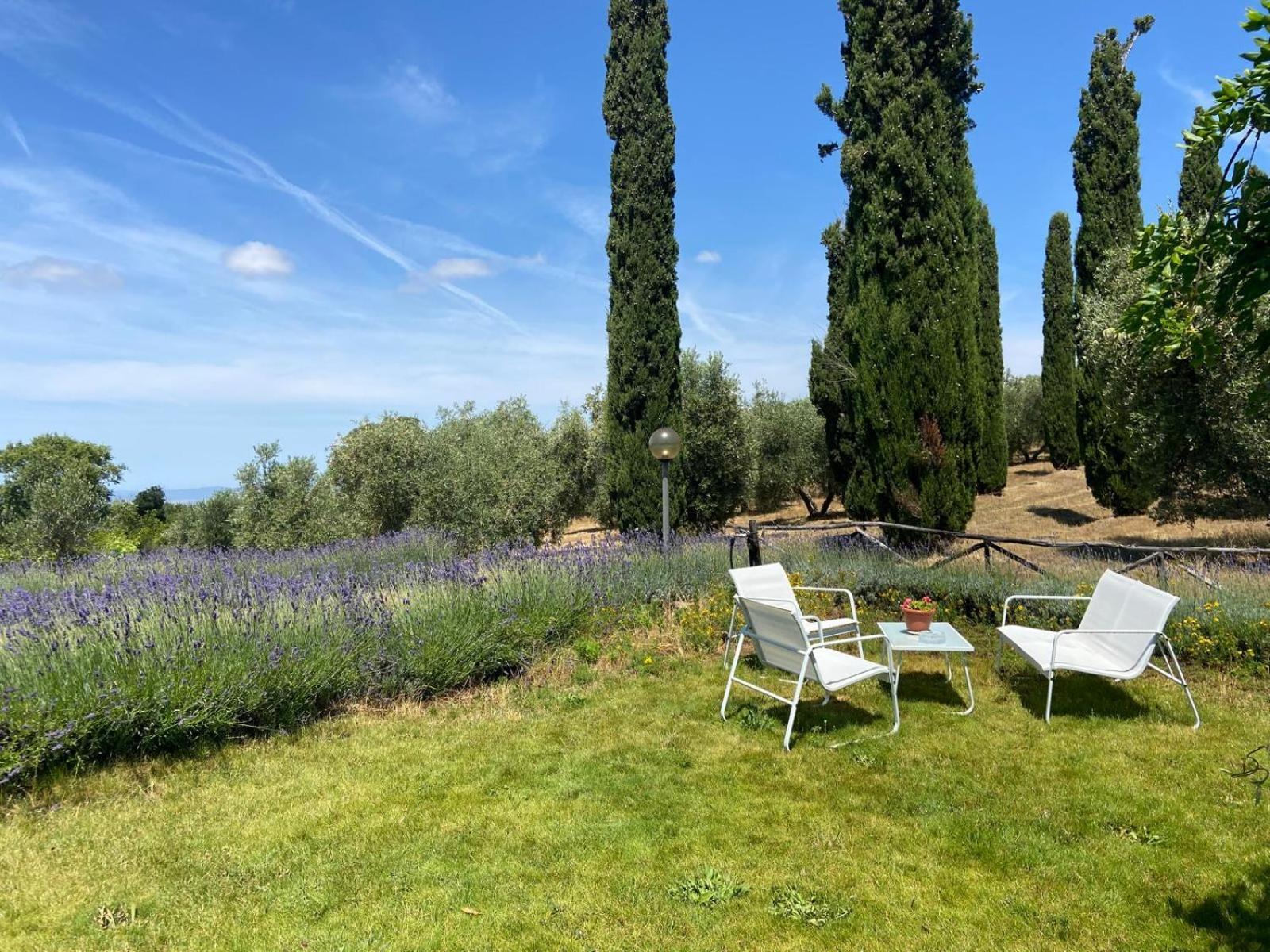 Tenuta Le Mandorlaie, Agriturismo In Scansano Exteriér fotografie