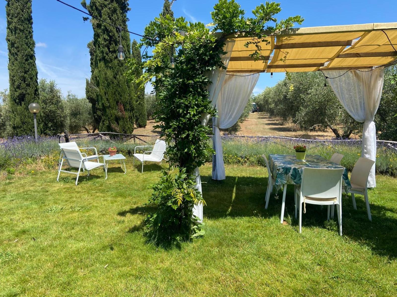 Tenuta Le Mandorlaie, Agriturismo In Scansano Exteriér fotografie