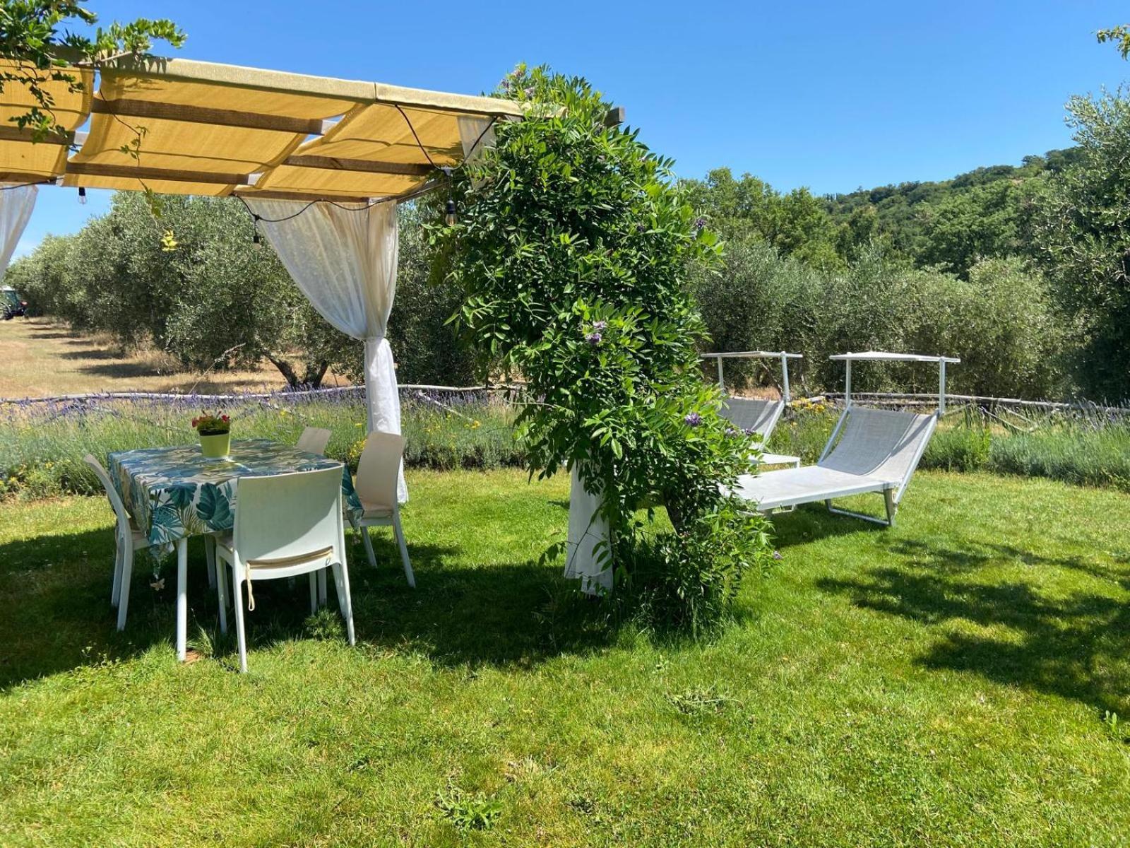Tenuta Le Mandorlaie, Agriturismo In Scansano Exteriér fotografie
