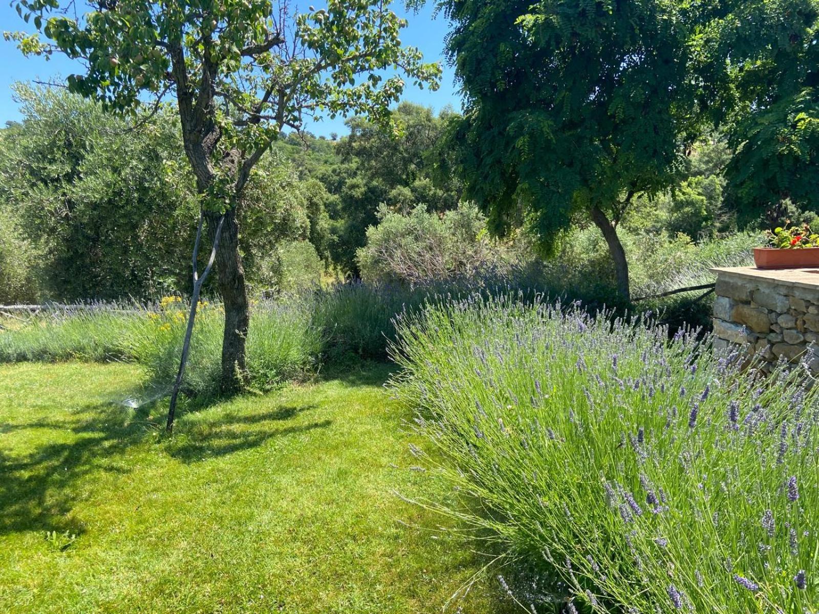 Tenuta Le Mandorlaie, Agriturismo In Scansano Exteriér fotografie