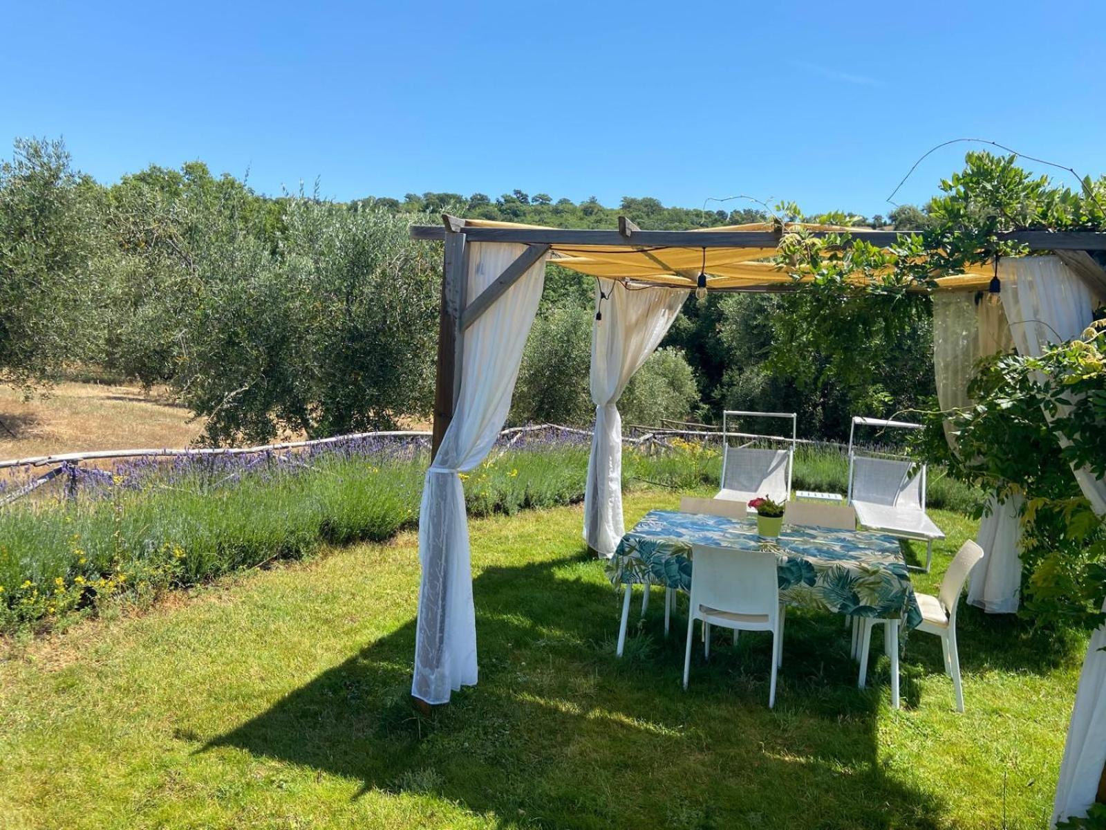 Tenuta Le Mandorlaie, Agriturismo In Scansano Exteriér fotografie